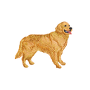 刺繡貼紙 - 黃金獵犬