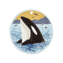 Killer Whale/Orca