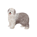 刺繡貼紙 - 英國牧羊犬