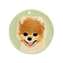Brown Pomeranian