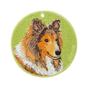 Shetland Sheepdog