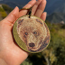 Brown Bear