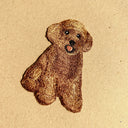 刺繡貼紙 - 玩具貴賓