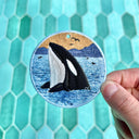 Killer Whale/Orca